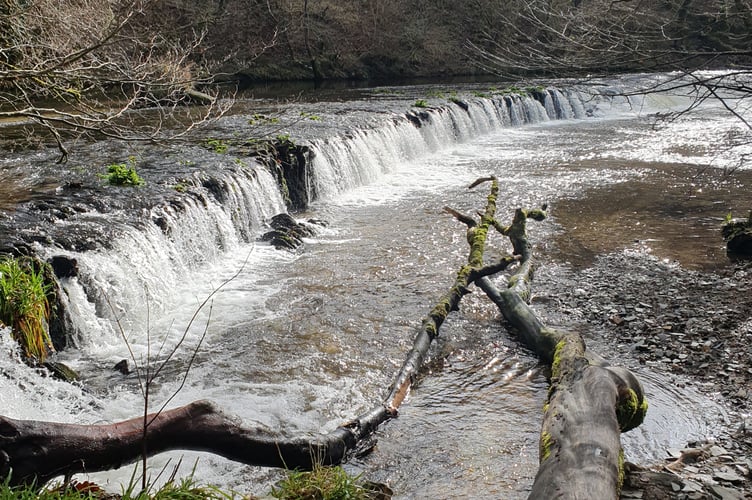 Weir on River Plym - Alice Henderson