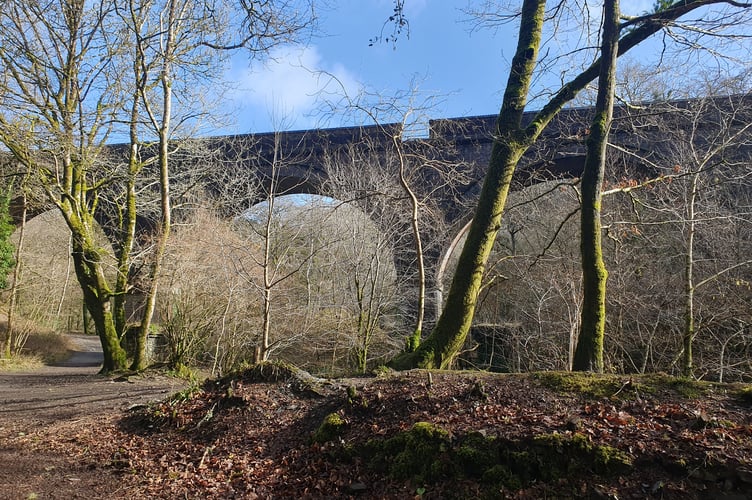 Plym Valley Viaduct - Alice Henderson