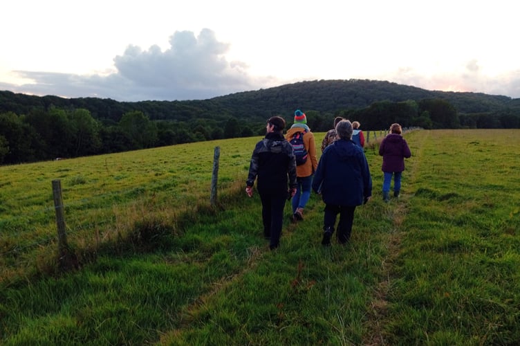 A walk on the farm